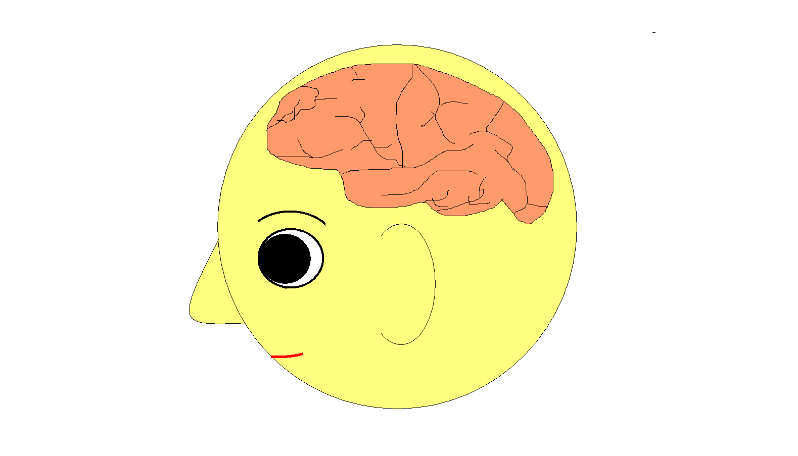 head