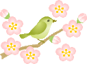 ume